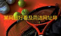 某网超好看及简洁网址导航发布页源码