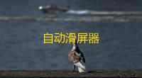 自动滑屏器